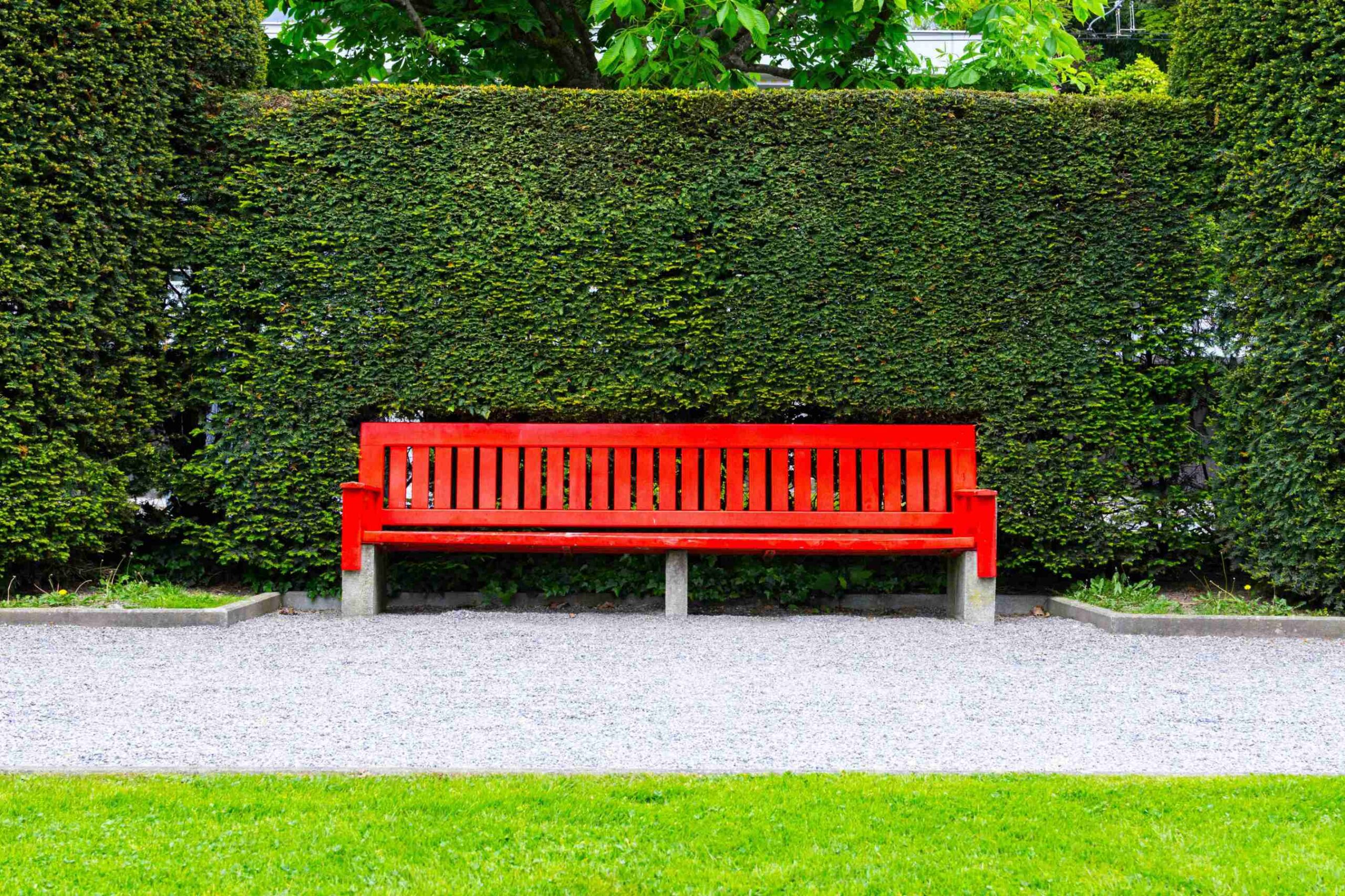 Welcome to the World of Green Hedges
