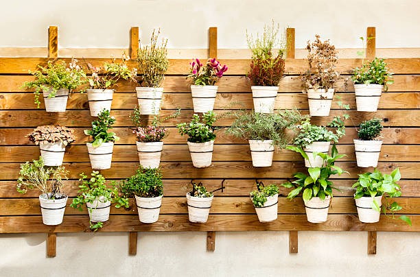 Sustainability and Beauty: Create Your Garden with Recycled Materials!
