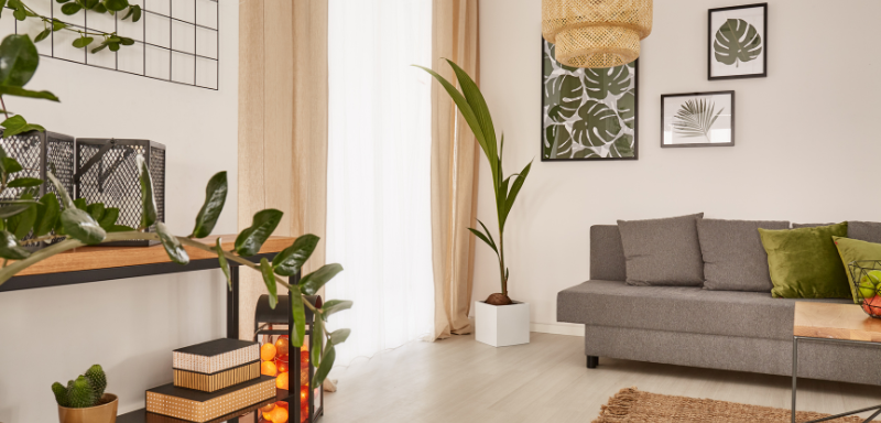 Living room with a gray sofa, green pillows, tall indoor plants, natural light coming through beige curtains, and framed leaf prints on the wall.